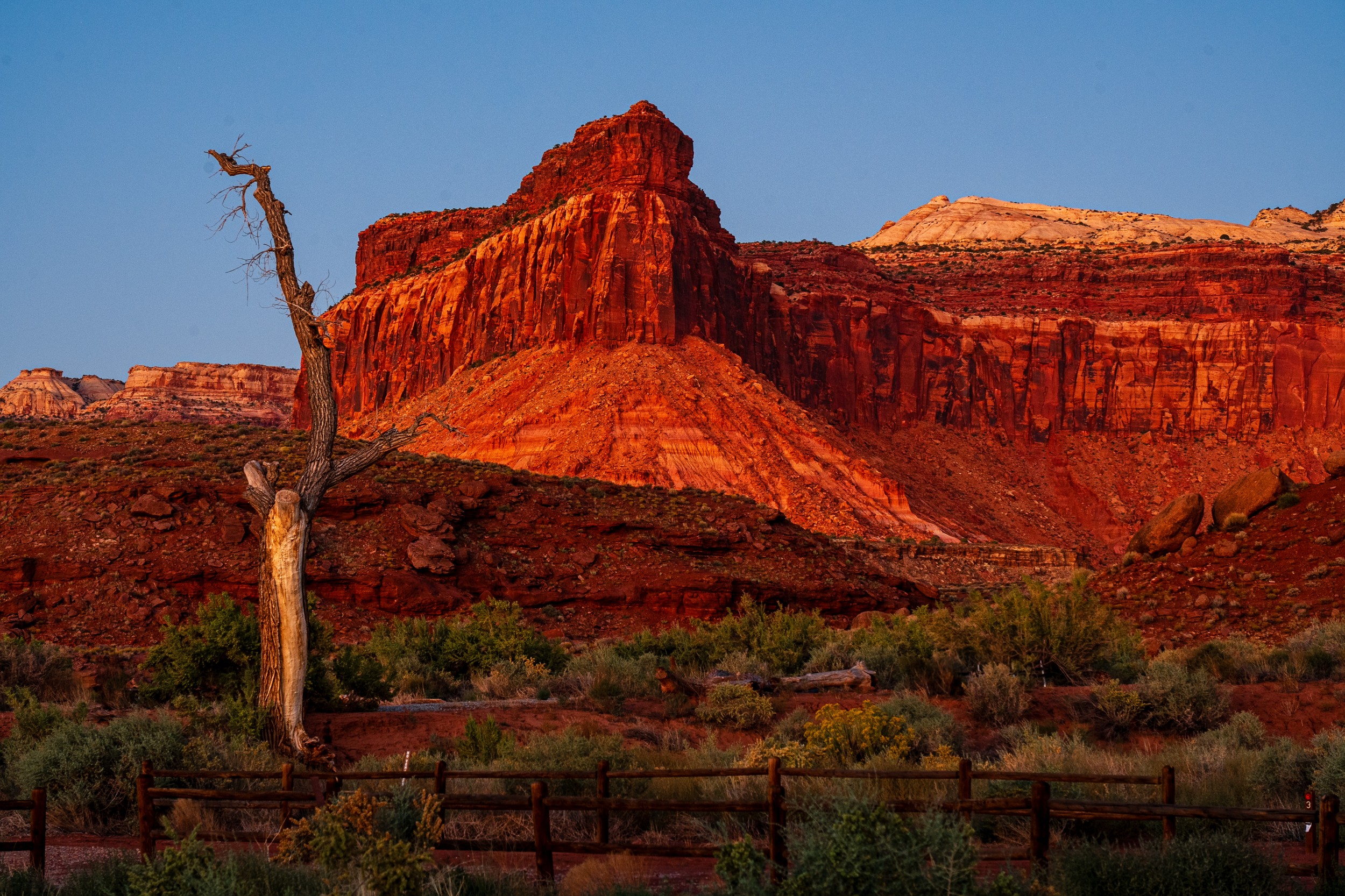 USA 2024 5 Sterne 96